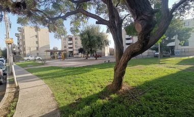 EL HIDALGO CON CUADRO VERDE