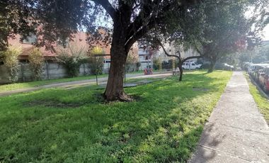 EL HIDALGO CON CUADRO VERDE