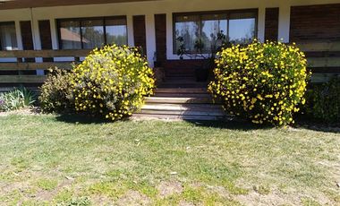 VILLA ALEGRE