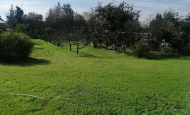 VILLA ALEGRE