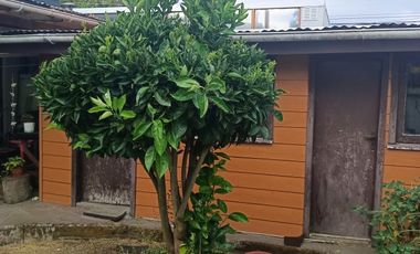 LAS CANGREJERAS / LOS OLIVOS