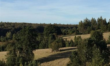 CONDOMINIO  CON  AGUA DE POZO - LOS MUERMOS- PUERTO VARAS