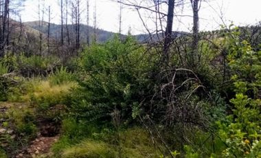 GRAN OPORTUNIDAD SE VENDE TERRENO BUENA UBICACION SAN JAVIER