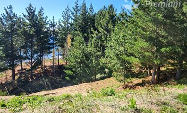 Local Comercial en Venta en camino a llico p22