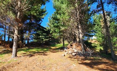 Local Comercial en Venta en camino a llico p22