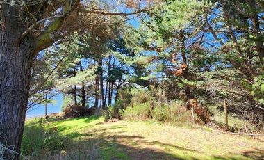 Local Comercial en Venta en camino a llico p22