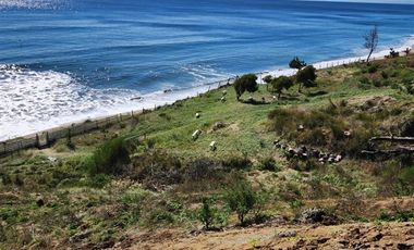 Local Comercial en Venta en camino a llico p22