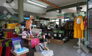 VENTA EDIFICIO COMERCIAL CON DEPARTAMENTO Y DEPÓSITO, NEUQUÉN CAPITAL
