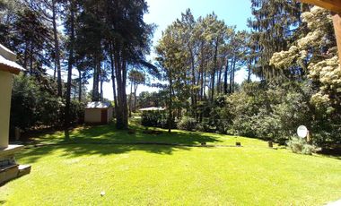 Cod 645 VENTA USD 270.000.- Palmera y Garza