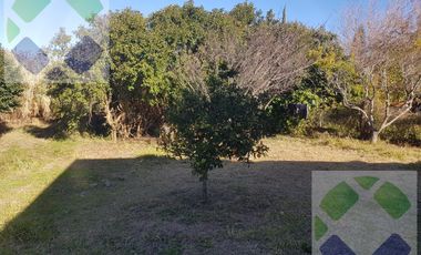 La Lomita