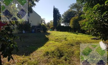 La Lomita