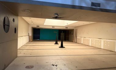 Local en Alquiler en Lavalle y Maipú - Microcentro