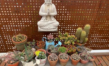 Monoambiente en ALQUILER - Esc.-Centro