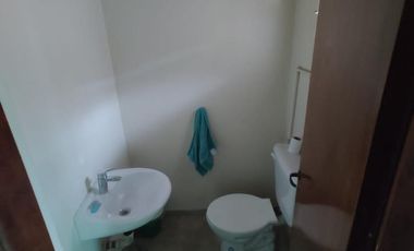 Excelente Chalet, Platanos