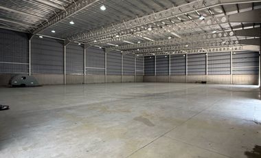 Nave Industrial en Alvear - Galpon - Oficina - Logistica - Industria