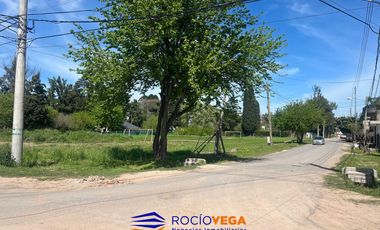 Lote a la venta en Paso de Rey Moreno