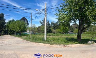 Lote a la venta en Paso de Rey Moreno