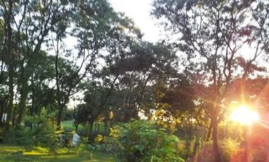 Venta Terrenos en Country La Arboleda