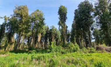 Parcela en Venta en Fundo Arthur, Rio Pescado