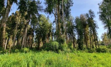 Parcela en Venta en Fundo Arthur, Rio Pescado