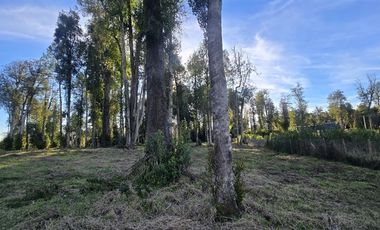 Parcela en Venta en Fundo Arthur, Rio Pescado
