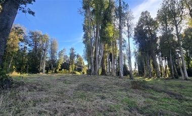 Parcela en Venta en Fundo Arthur, Rio Pescado