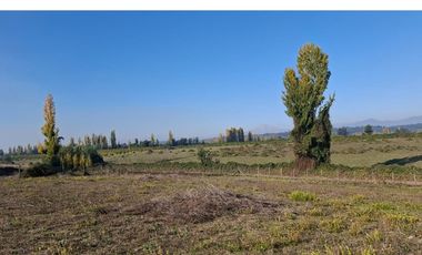 VENTA  CASA EN PARCELA DE 5.000 mtrs2 PARRAL