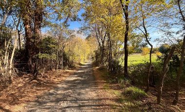 VENTA  CASA EN PARCELA DE 5.000 mtrs2 PARRAL