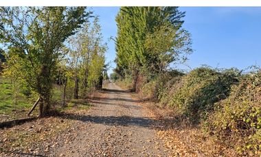VENTA  CASA EN PARCELA DE 5.000 mtrs2 PARRAL