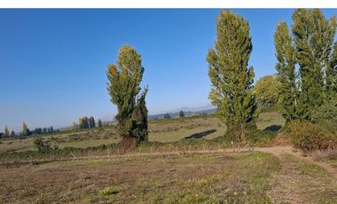 VENTA  CASA EN PARCELA DE 5.000 mtrs2 PARRAL