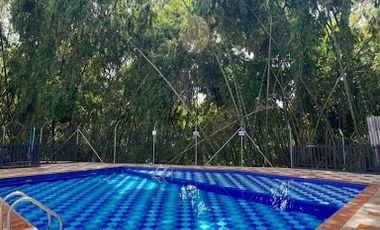 ARRIENDO de APARTAMENTO en PEREIRA