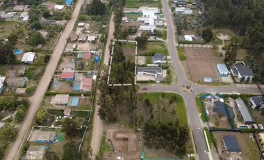 BOSQUES DE QUILEN, COSTA QUILEN