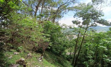 APARTAESTUDIO AMOBLADO EN ARRIENDO EN SANTA HELENA/MANIZALES
