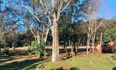 Se vende Chacra Sobre Ruta 4. Pegada al pueblo. Ideal Loteo- Bonpland. Misiones