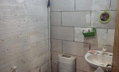 En Alquiler | Galpon de 288 m2 | Calle Pellegrini | Plottier