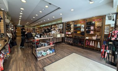 ALQUILER Local comercial 250 m2 sobre Avenida Santa Fe