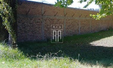 Alquiler de PREDIO con GALPON, Oficinas y Playa de maniobras sobre  RUTA 7 - CENTENARIO