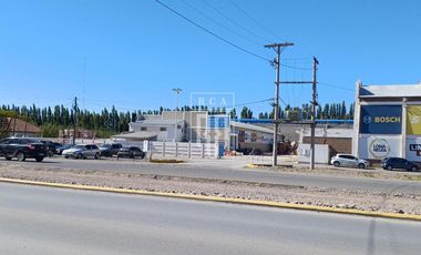 Alquiler de PREDIO con GALPON, Oficinas y Playa de maniobras sobre  RUTA 7 - CENTENARIO