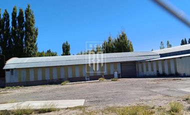 Alquiler de PREDIO con GALPON, Oficinas y Playa de maniobras sobre  RUTA 7 - CENTENARIO