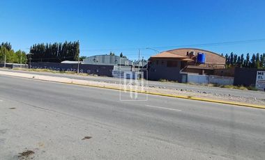 Alquiler de PREDIO con GALPON, Oficinas y Playa de maniobras sobre  RUTA 7 - CENTENARIO