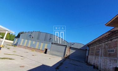 Alquiler de PREDIO con GALPON, Oficinas y Playa de maniobras sobre  RUTA 7 - CENTENARIO