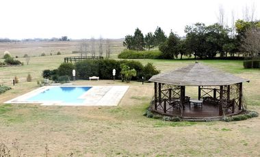 Campo en venta 50 Has en Punta Indio - Excelente Casco - Ideal Haras