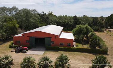 Campo en venta 50 Has en Punta Indio - Excelente Casco - Ideal Haras