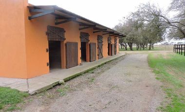 Campo en venta 50 Has en Punta Indio - Excelente Casco - Ideal Haras