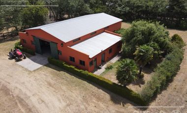 Campo en venta 50 Has en Punta Indio - Excelente Casco - Ideal Haras