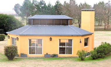 Campo en venta 50 Has en Punta Indio - Excelente Casco - Ideal Haras