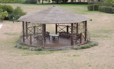 Campo en venta 50 Has en Punta Indio - Excelente Casco - Ideal Haras