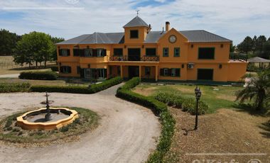 Campo en venta 50 Has en Punta Indio - Excelente Casco - Ideal Haras