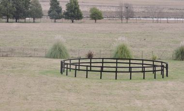 Campo en venta 50 Has en Punta Indio - Excelente Casco - Ideal Haras