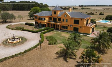 Campo en venta 50 Has en Punta Indio - Excelente Casco - Ideal Haras